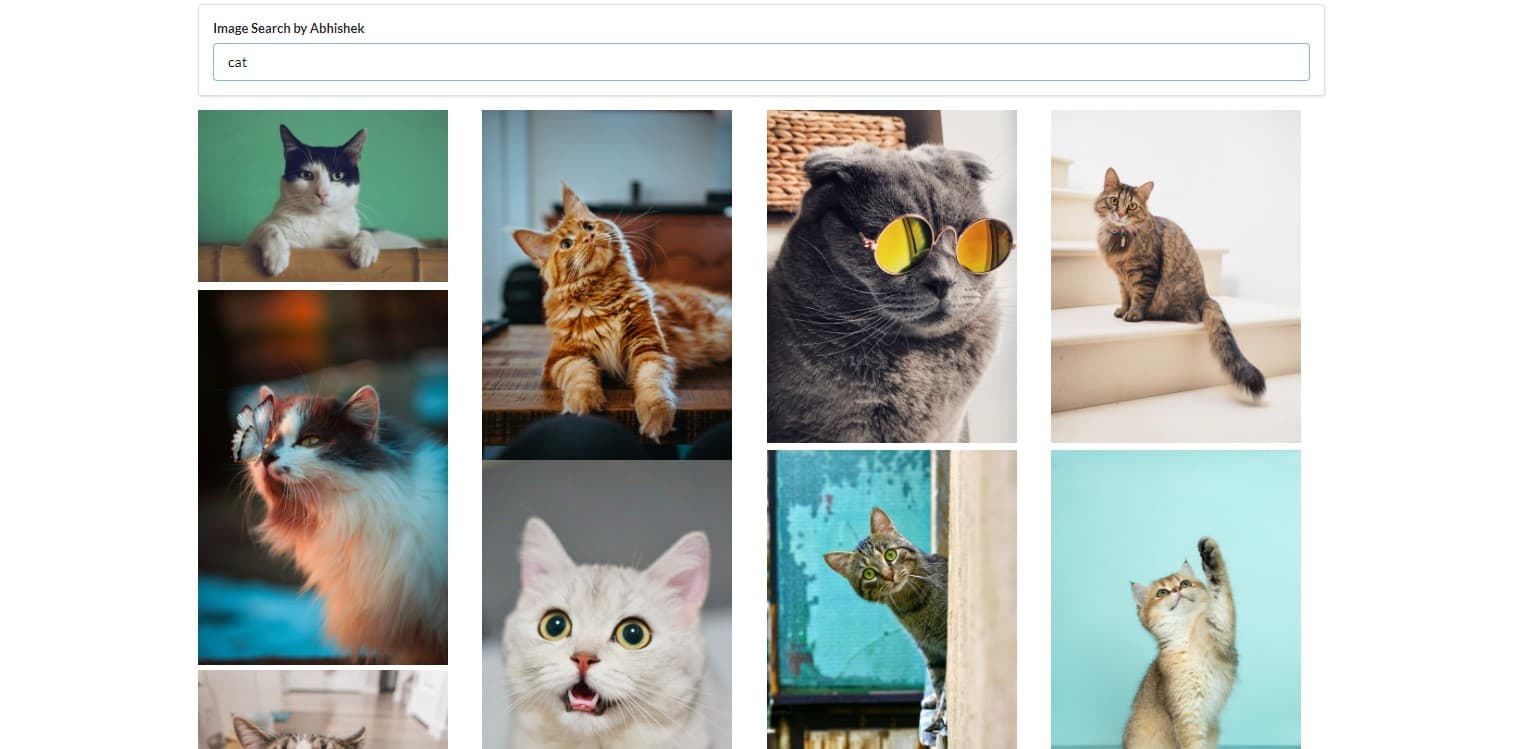 Screenshot of Image Search App project