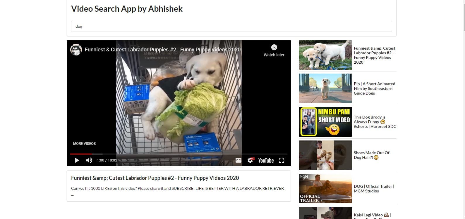 Screenshot of Video Search App project